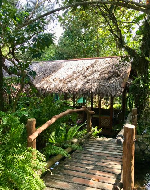 istock resort with a themed bridge in the jungle 1561394140