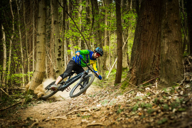 Cross-country downhill rider in the forest stock photo