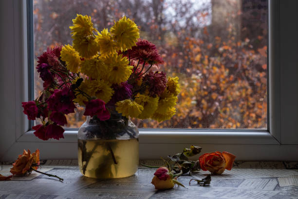 istock Autumn bouquet on window.  Atmospheric mood. Beautiful withering. 1561416382