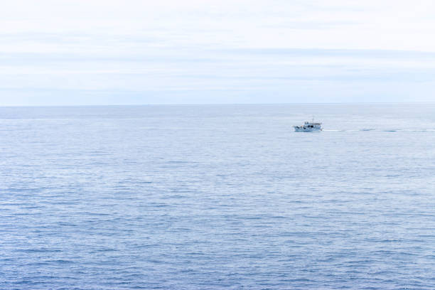 istock boat on the sea 1561457517