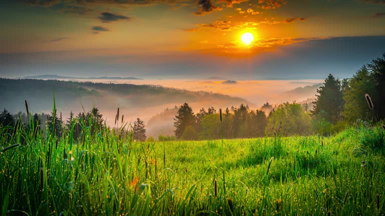 Rural countryside with foggy hills at sunrise