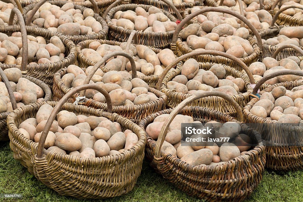 Pommes de terre - Photo de Aliment libre de droits