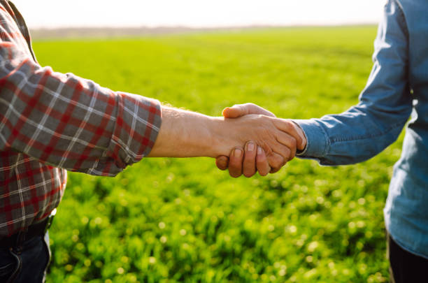 istock Agriculture and business concept. 1561479144