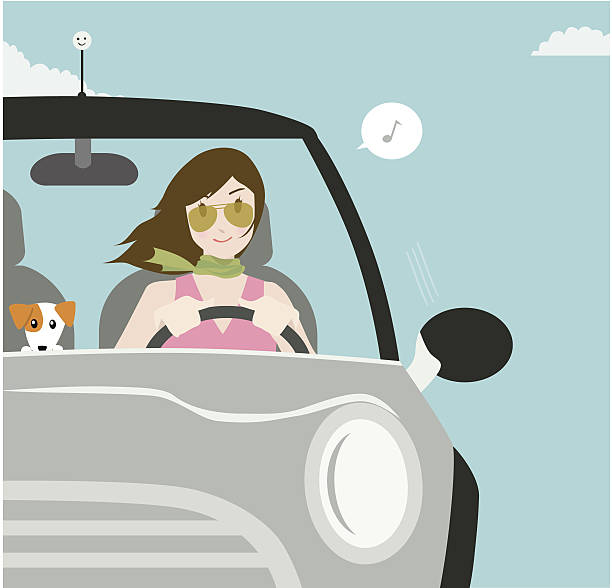 행복함 모터 - car driving women driver stock illustrations
