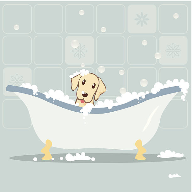 Dog taking Bubble Bath DOg taking bubble bath. free standing bath stock illustrations