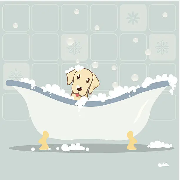 Vector illustration of Dog taking Bubble Bath