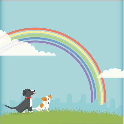 Dogs and Rainbow.