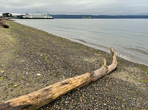 Alki Beach in Seattle with the tide out.  People walk along the waterfront path in the summer and enjoy the beach.