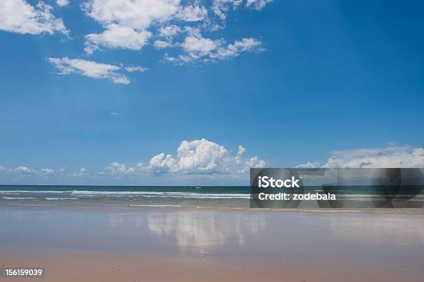 Praia Tropical Austrália - Fotografias de stock e mais imagens de Ao Ar Livre - Ao Ar Livre, Areia, Austrália