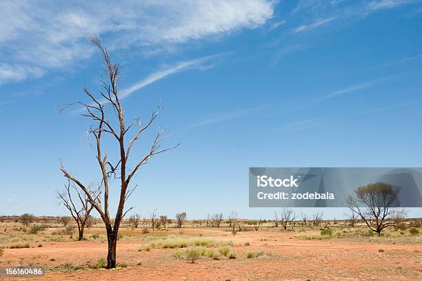Árbol Muerto En El Outback Australiano Ambiente Etc Foto de stock y más banco de imágenes de Australia