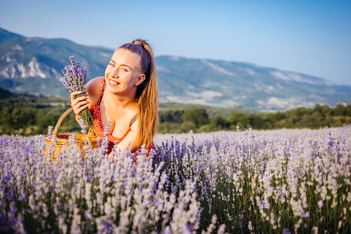 Young woman kneeling in lavender field during sunset