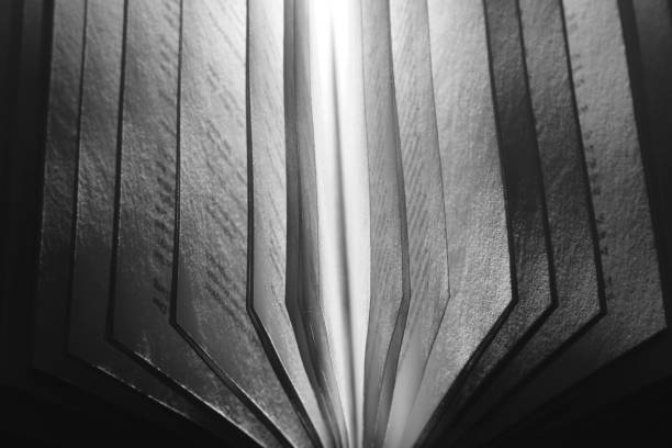 istock Open book close up, black and white, reading, education, knowledge concept. 1561661655