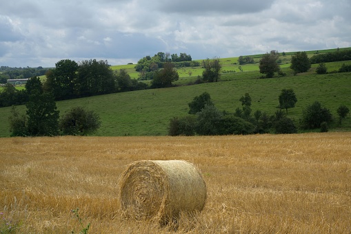 A scenic view of a single, round haybale standing in a dry field next to a rural field