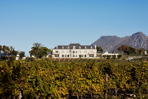 Constantia, South Africa – April 10, 2023: Buitenverwachting Wine Estate in Constantia Cape Town South Africa