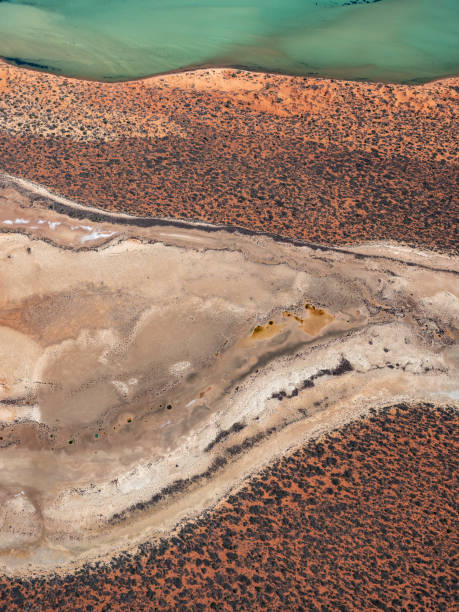 istock Aerial view of remote coastline 1561861875