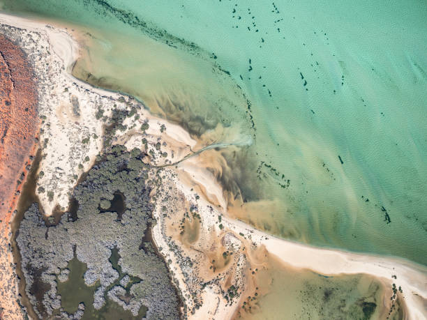 istock Aerial view of remote coastline 1561861877