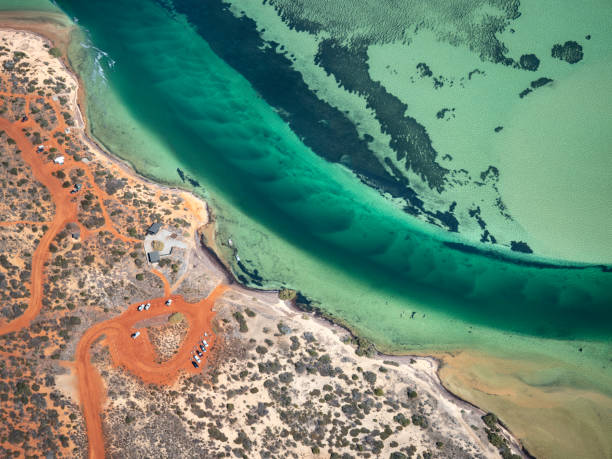 istock Aerial view of remote coastline and camping ground 1561863399