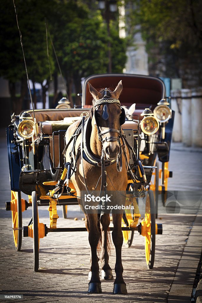 Турист лошадь и перевозки в Севилье, Европа - Стоковые фото UNESCO - Organised Group роялти-фри