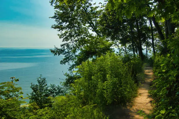 Photo of Dirt Path Lake Bluff