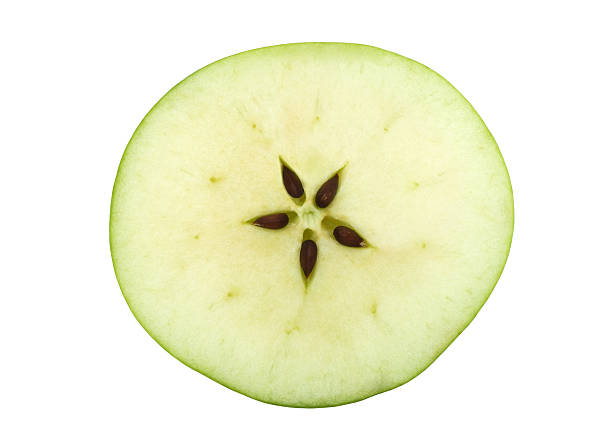 istock A green apple cut in half with five seeds 156197390