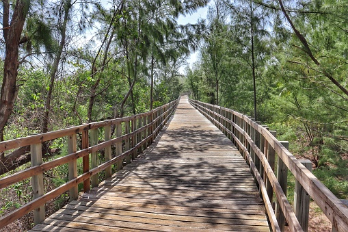 Wooden bridge, part of the hiking trail near Jobos Beach in Isabela, Puerto Rico.