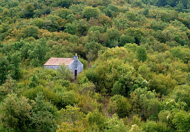 istock Abandoned building in autumn forest 156198062