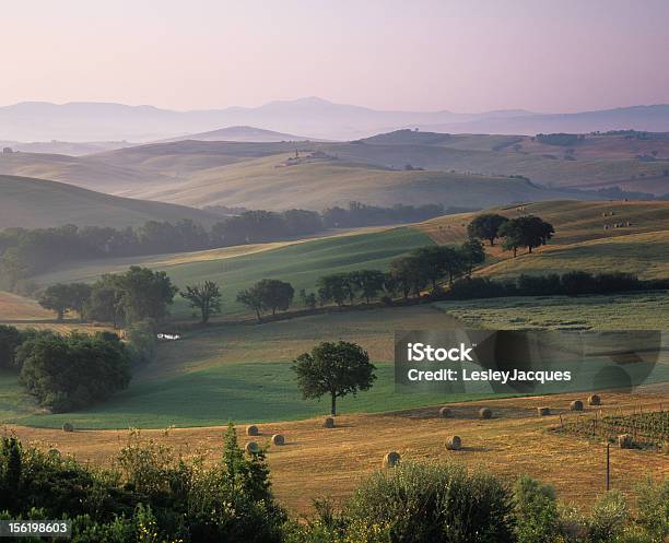 Tuscan Countryside Stock Photo - Download Image Now - Agricultural Field, Agriculture, Bale