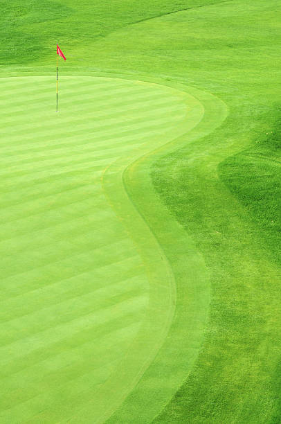 Golf green with grass in several green tones stock photo