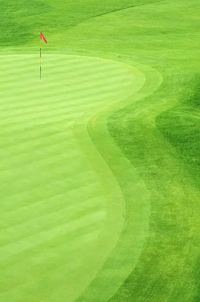 Photo of Golf green with grass in several green tones