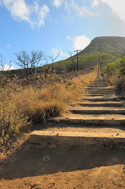 istock Railroad Ties leading up Koko Head Crater 156199362