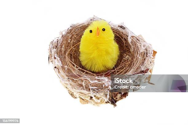 Photo libre de droit de Fond De Pâques Avec Des Poulets Dans Un Nid banque d'images et plus d'images libres de droit de Aile d'animal - Aile d'animal, Blanc, Cultures