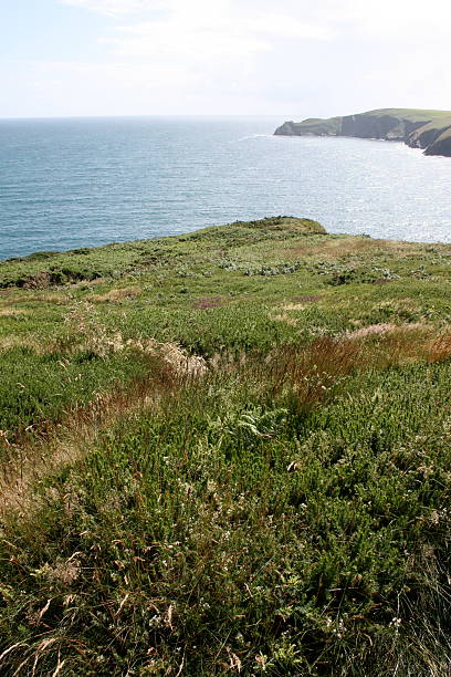 irish cliffs, cork county stock photo