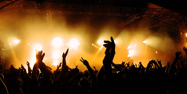 istock Silhouetted image of a crowd at a concert with raised hands 156200257