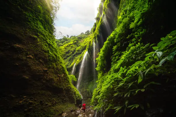 Asian traveller Man in Madakaripura Waterfall, Java, Indonesia. Travel concept and discovery