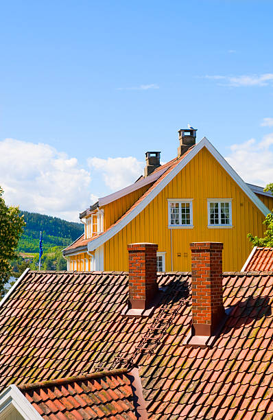 istock Wooden houses and rooftop 156201444