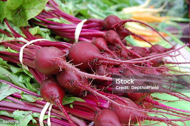 Beets Stock Photo - Download Image Now - Agriculture, Beet, Bunch