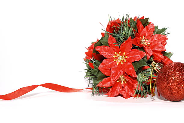 istock Christmas composition, the poinsettia on a white background 156201832