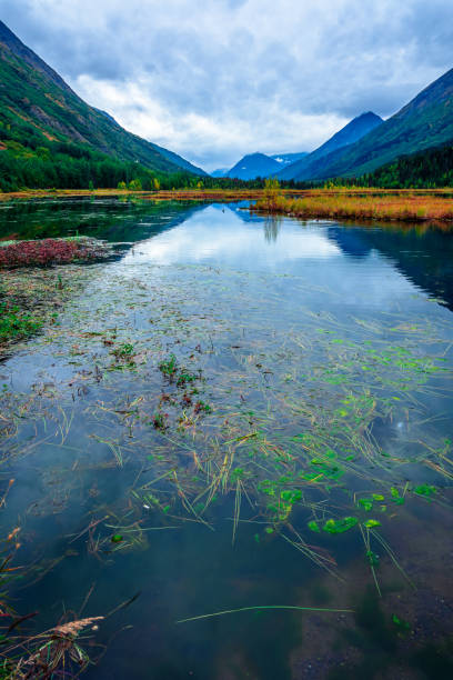 istock View of Tern Lake in fall season, Moose Pass, Alaska. 1562024228
