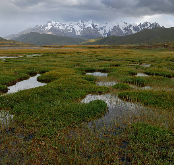 meadow with mountains background stock photo