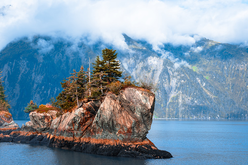 View of island from Kenai Fjords National Park Cruise tour in Alaska, USA.