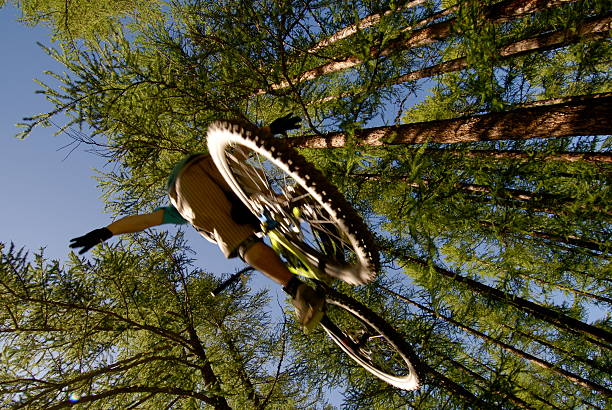 No hands in the wood of Pian della Rocca