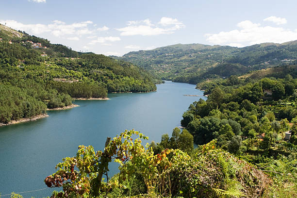 istock Parc Peneda Geres, Portugal 156204324