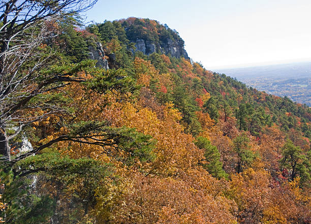 istock Pilot Mountain in North Carolina 156205262