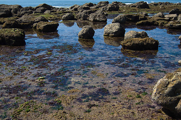 France la côte - Photo