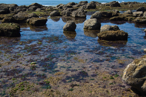 Rugged French coast in the Vendee. In the expanse of the Atlantic Ocean begins. The ebb tide the rocks are exposed.