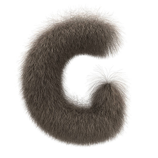 alfabeto letra g de pele de animal - fur type imagens e fotografias de stock
