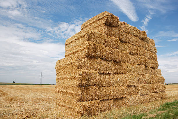Hey Stack Cubes 250+ Hay Cubes Stock Photos, Pictures & Royalty-Free Images - iStock