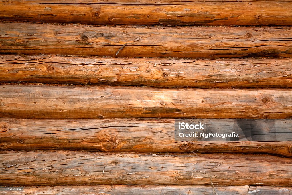 texture de bois - Photo de Arbre libre de droits