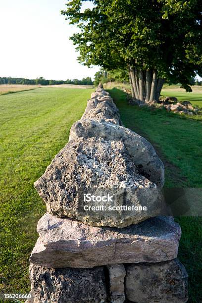 Long Mur Kamienny - zdjęcia stockowe i więcej obrazów Bez ludzi - Bez ludzi, Drzewo, Fotografika