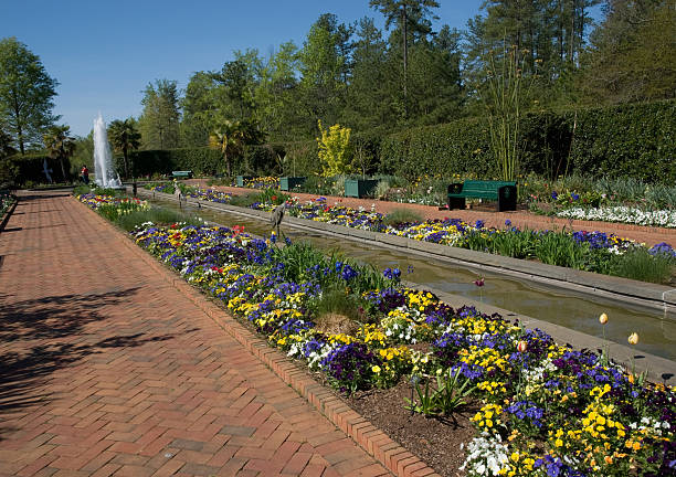 Large Ornamental Garden
